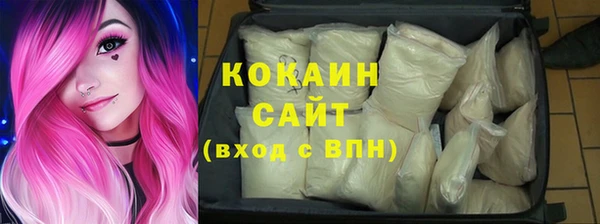 шишки Алзамай