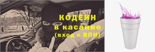 гашик Заводоуковск