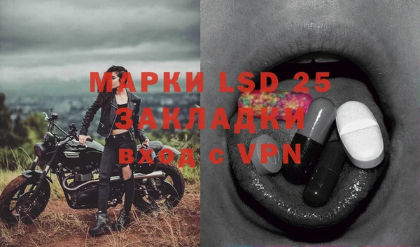 ПСИЛОЦИБИНОВЫЕ ГРИБЫ Алексеевка