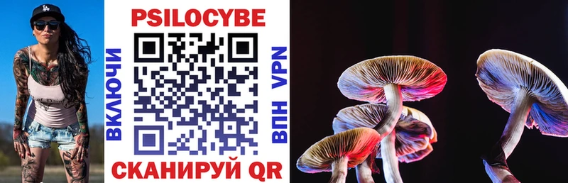 Псилоцибиновые грибы GOLDEN TEACHER Динская